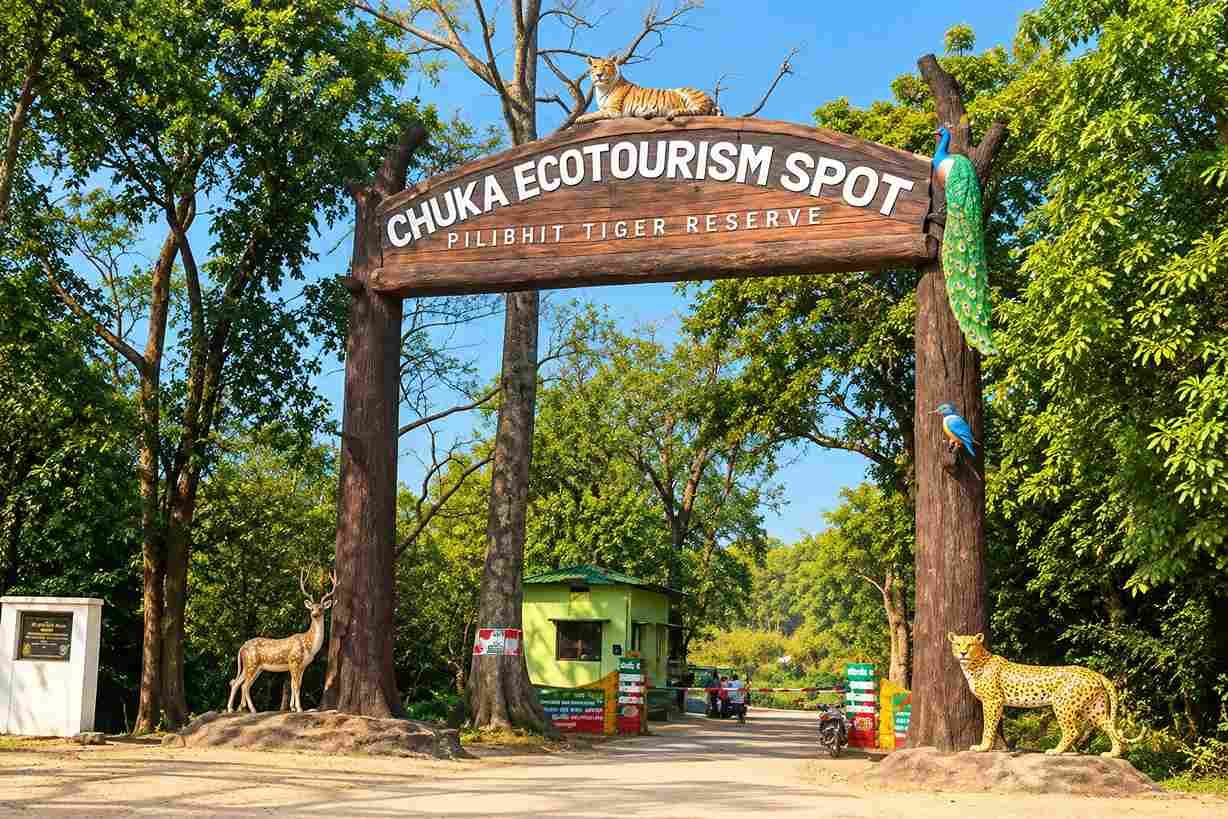 Jungle Safari Chuka Gate