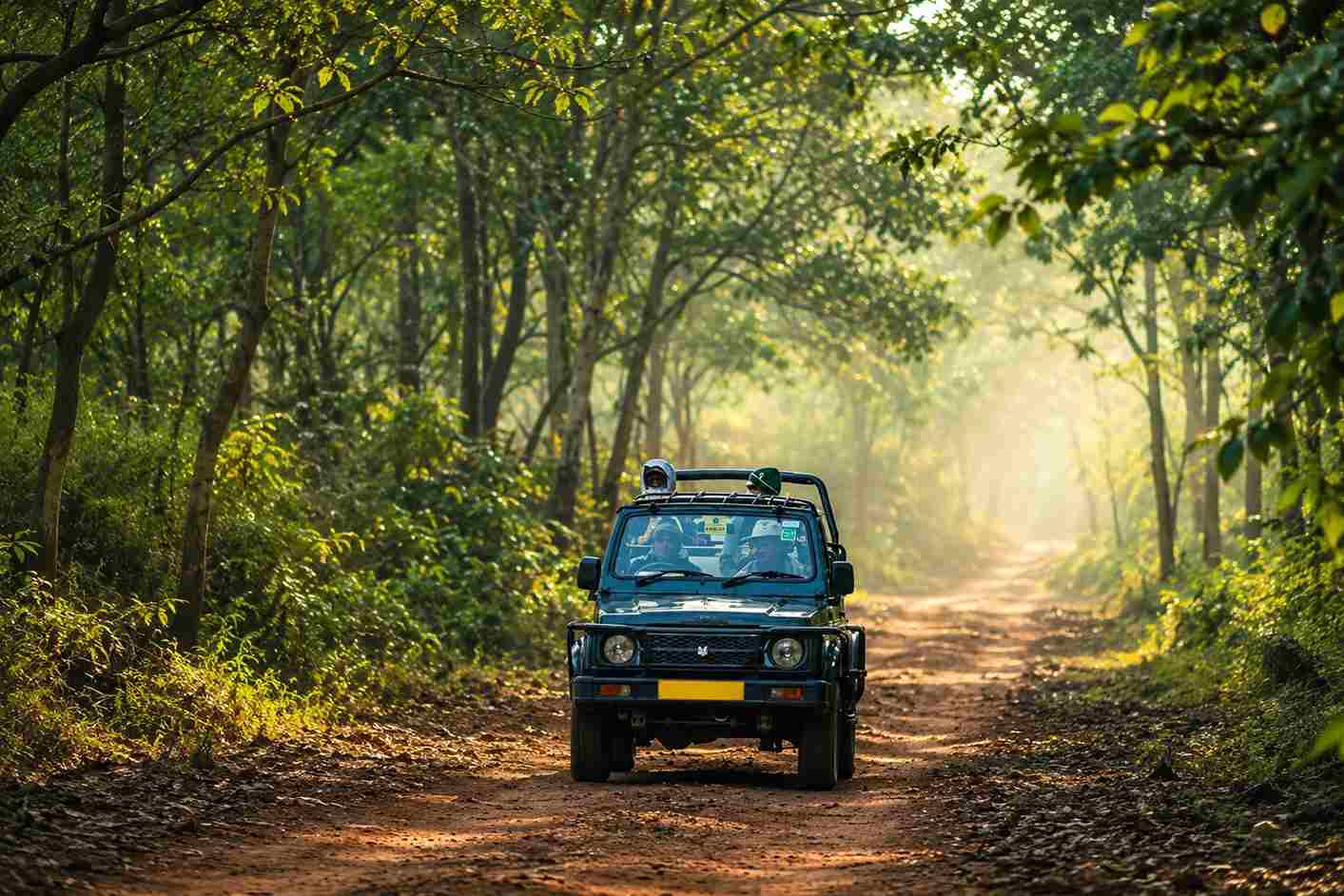 Morning Gypsy Safari Pilibhit Tiger Reserve