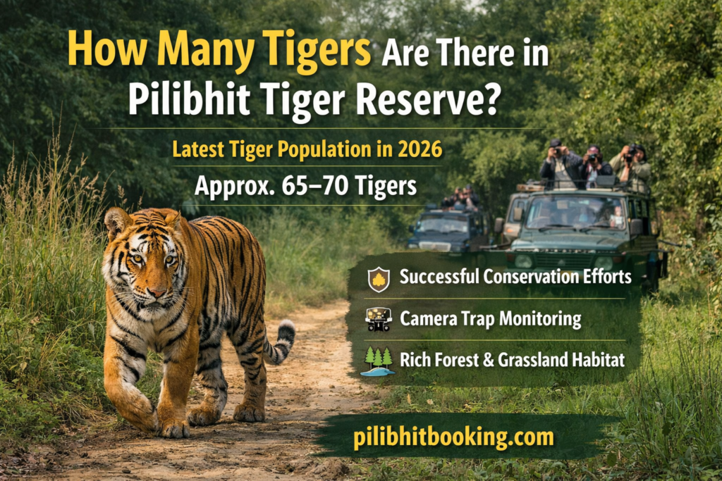 How Many Tigers Are There in Pilibhit Tiger Reserve?
