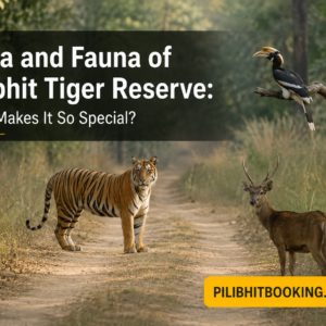 Flora and Fauna of Pilibhit Tiger Reserve What Makes It So Special