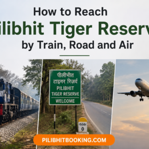 How to Reach Pilibhit Tiger Reserve by Train, Road and Air