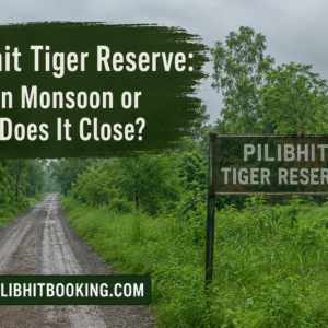 Pilibhit Tiger Reserve Open in Monsoon or When Does It Close