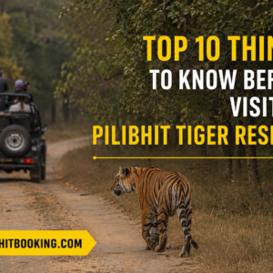Top 10 Things to Know Before Visiting Pilibhit Tiger Reserve