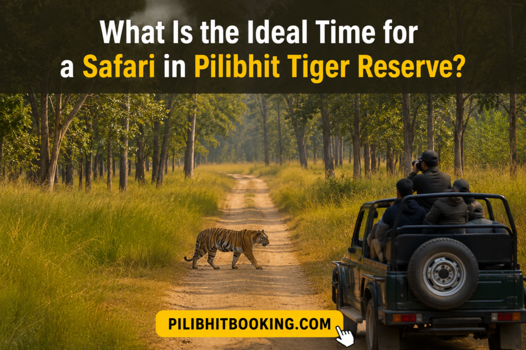 What Is the Ideal Time for a Safari in Pilibhit Tiger Reserve