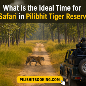 What Is the Ideal Time for a Safari in Pilibhit Tiger Reserve