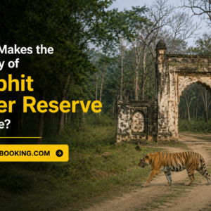 What Makes the History of Pilibhit Tiger Reserve Unique