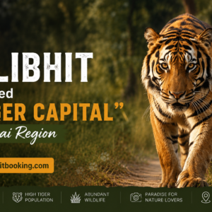 Why Pilibhit is Called "Tiger Capital" of Terai Region