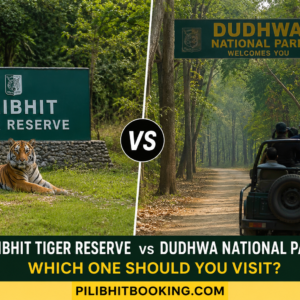 Pilibhit Tiger Reserve vs Dudhwa National Park: Which One Should You Visit?