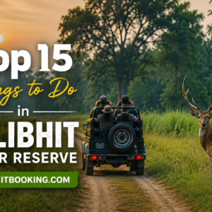 Top 15 Things to Do in Pilibhit Tiger Reserve