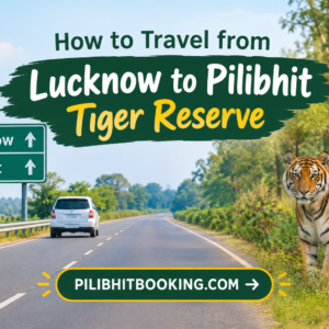 How to Travel from Lucknow to Pilibhit Tiger Reserve