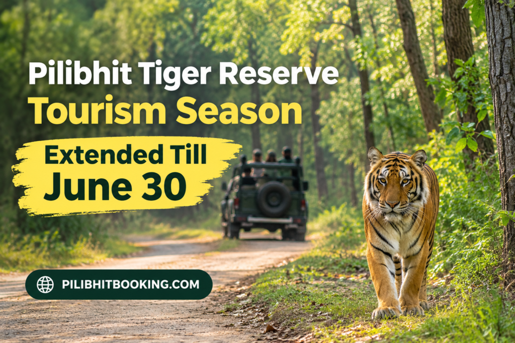 Pilibhit Tiger Reserve Tourism Season Extended Till June 30