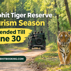 Pilibhit Tiger Reserve Tourism Season Extended Till June 30